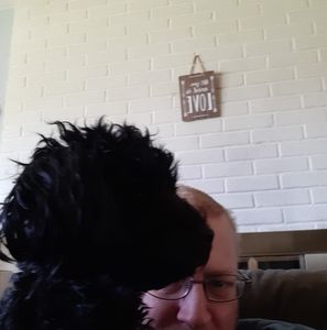 Meet your Posher, Paul